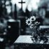 Ритуальные услуги и груз 200 в Харькове и области